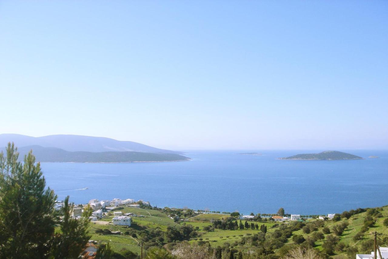 Marmari View Villa Buitenkant foto